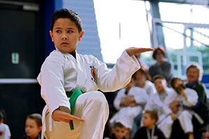 David Bidwell III, 8, son of David Bidwell Jr., performs a martial arts demonstration during the 13th annual U.S. Air Forces in Europe and Air Forces Africa Martial Arts Tournament Feb. 23 on Ramstein. The USAFE-AFAFRICA Martial Arts Tournament is a way for all participants ages 3 to 18 to test their martial arts skills against their peers.