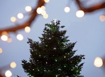 The Kaiserslautern Military Community celebrates the start of the holiday season during a tree  lighting ceremony at Ramstein Air Base, Germany, Dec. 1, 2023. The tree was planted in 2010 by the city of Ramstein-Miesenbach and serves as a symbol of the unity between the base and surrounding community. (U.S. Air Force photo by Airman 1st Class Trevor Calvert)