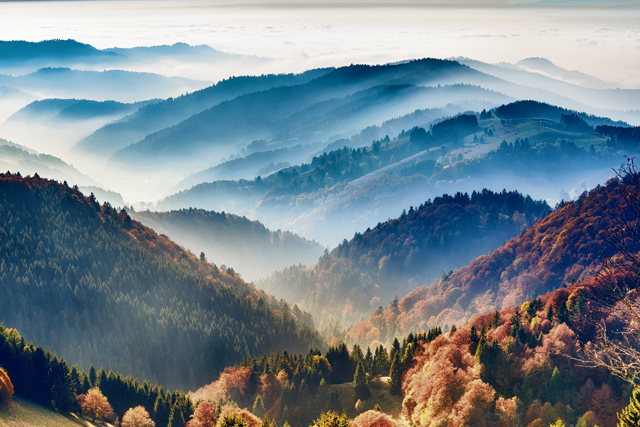 Four places to see amazing autumn colors in Germany